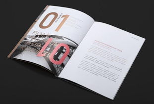 解析深圳產(chǎn)品目錄設(shè)計(jì)與VI系統(tǒng)的復(fù)雜性與代理代辦服務(wù)