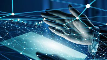 互聯(lián)網(wǎng)信息服務(wù)嚴重失信主體信用信息管理辦法公開征求意見