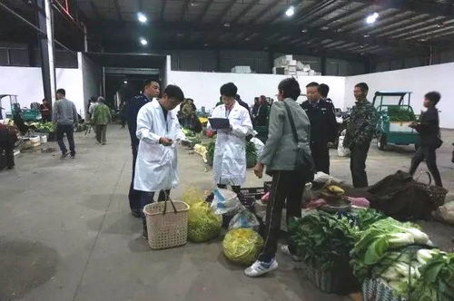麗水藍(lán)城檢測(cè)助力松陽(yáng)縣筑牢農(nóng)產(chǎn)品源頭安全防線