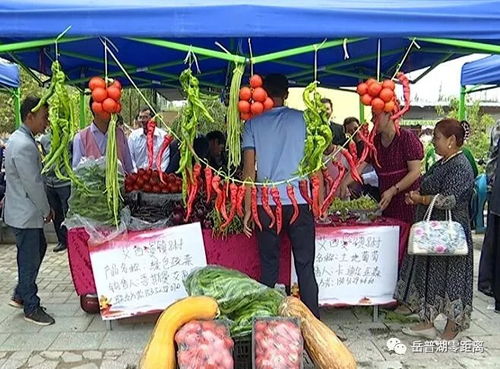 農(nóng)副產(chǎn)品促銷會(huì) 激發(fā)市場(chǎng)活力，助力脫貧攻堅(jiān)與初級(jí)農(nóng)產(chǎn)品收購(gòu)
